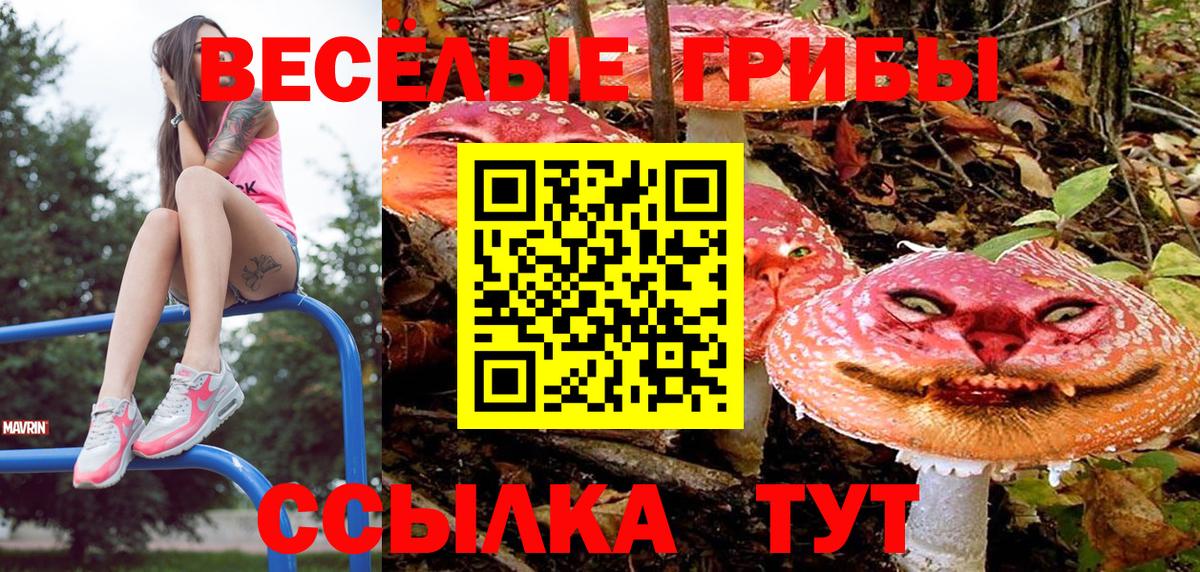 Галлюциногенные грибы мухоморы Черкесск