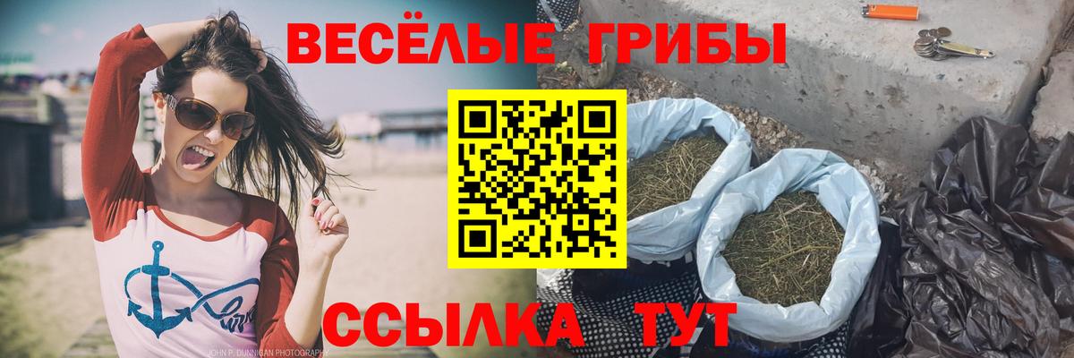 Псилоцибиновые грибы GOLDEN TEACHER  Вход с VPN  Псилоцибиновые грибы ЛСД  Черкесск 
